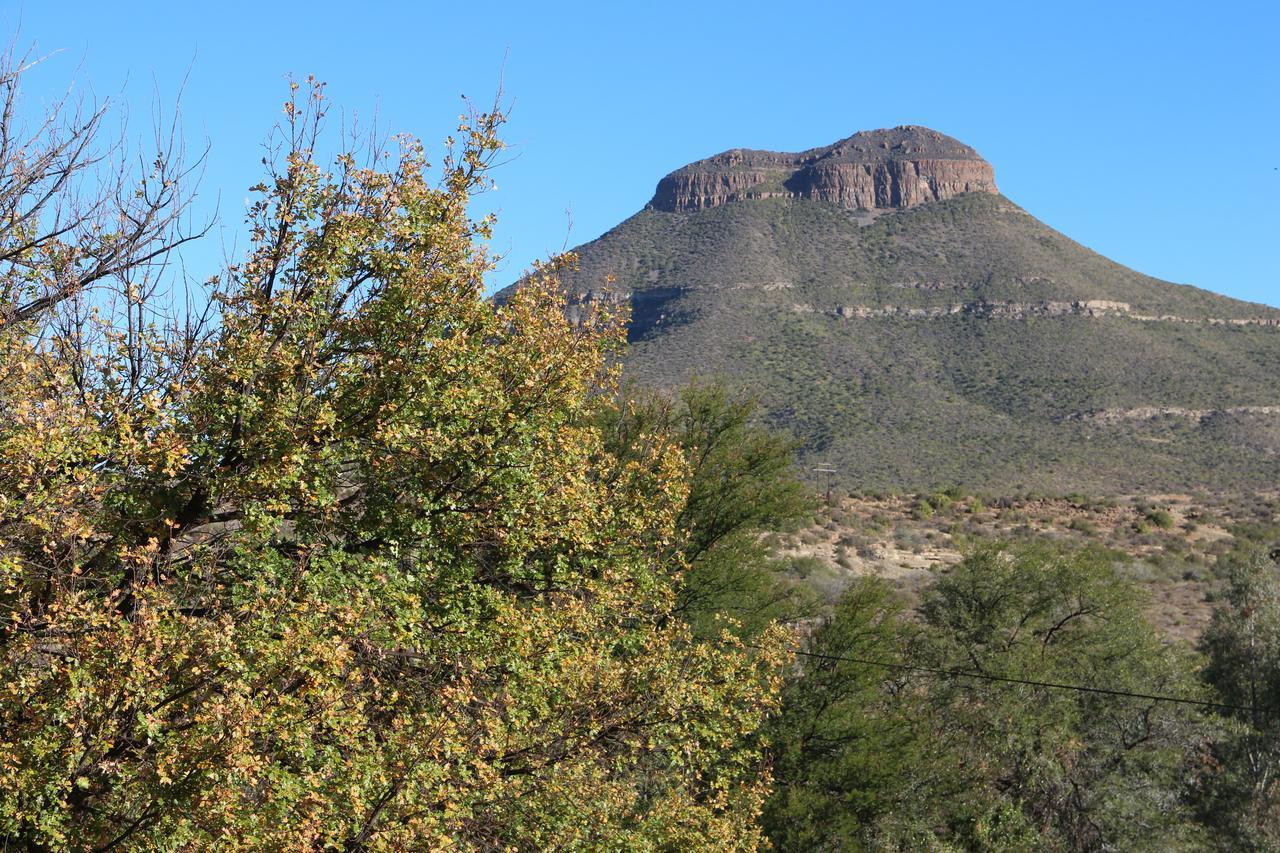 Aan Die Oewer Guesthouse Graaff-Reinet 외부 사진